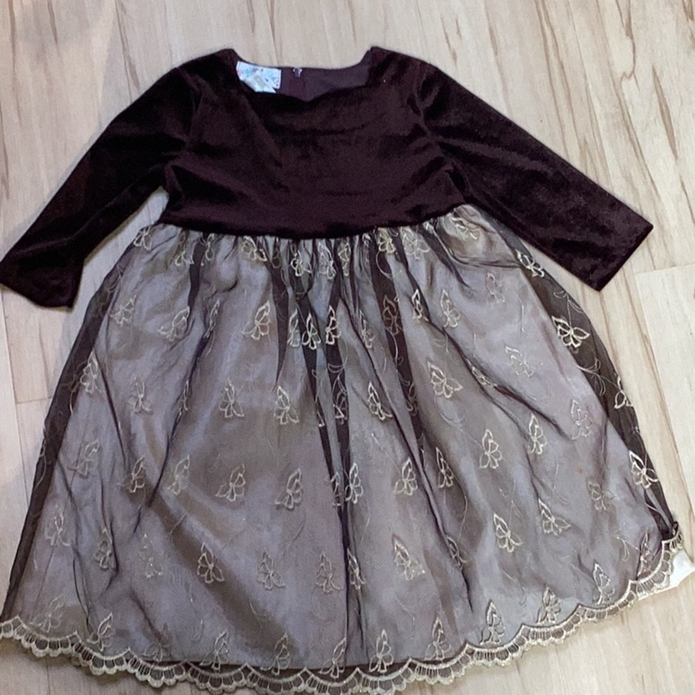 Elegant Brown Velvet Top Embroidered Metallic Gold‎ Butterfly Tulle Party Dress